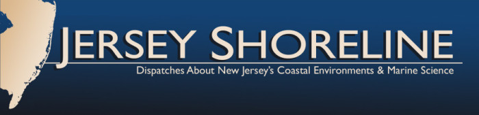 Jersey-Shoreline