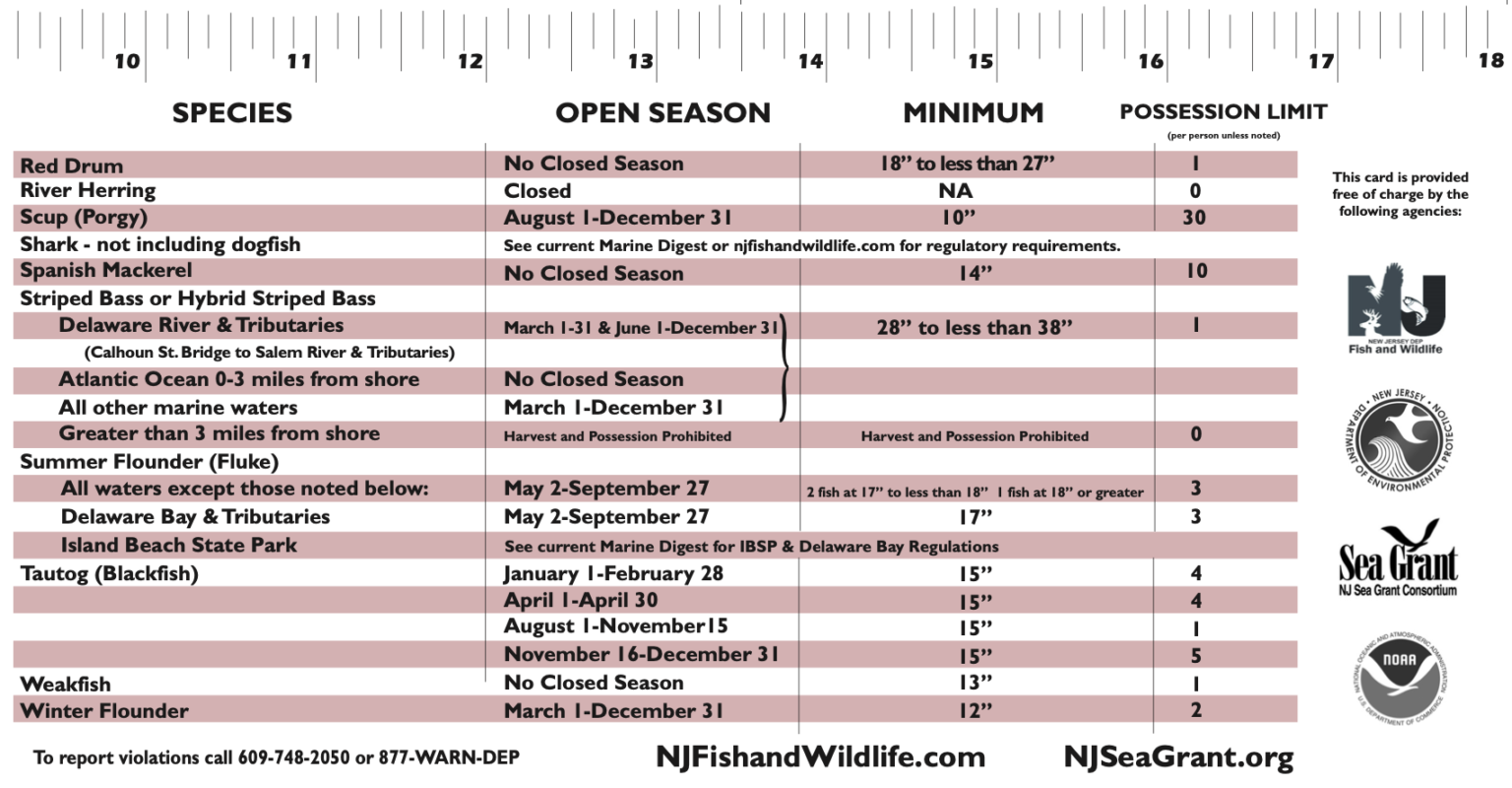 Fish and Wildlife Marine Recreational Fishing Regulation Cards for 2023