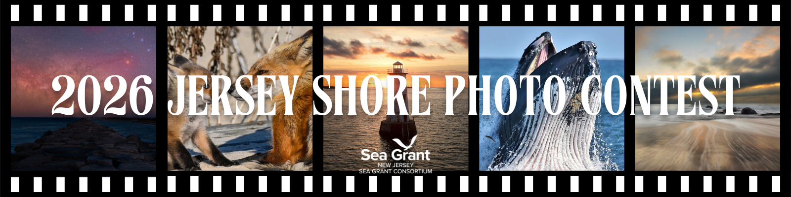 2026 Jersey Shore Photo Contest Banner