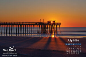 July 2026 Photo Calendar